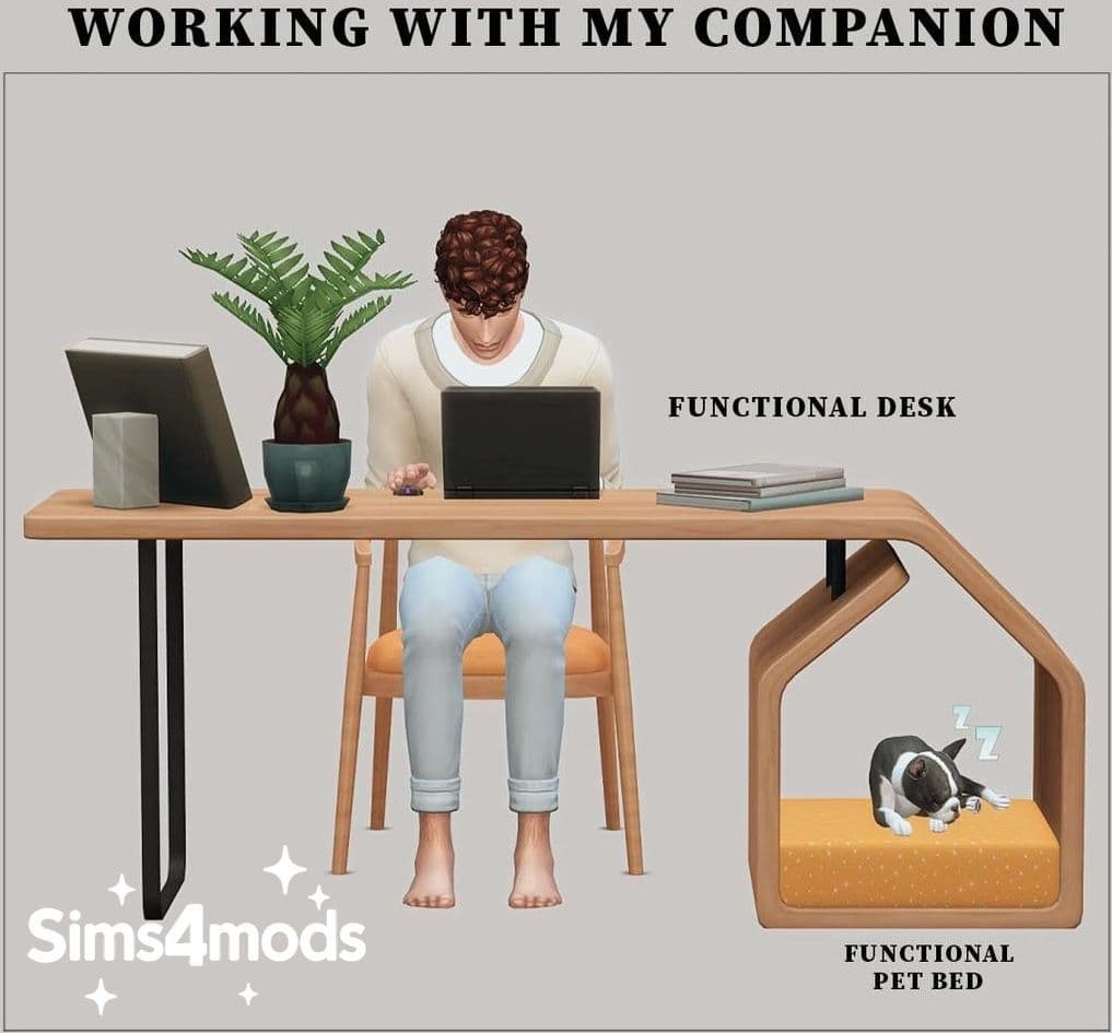 Рабочий стол Working With My Companion